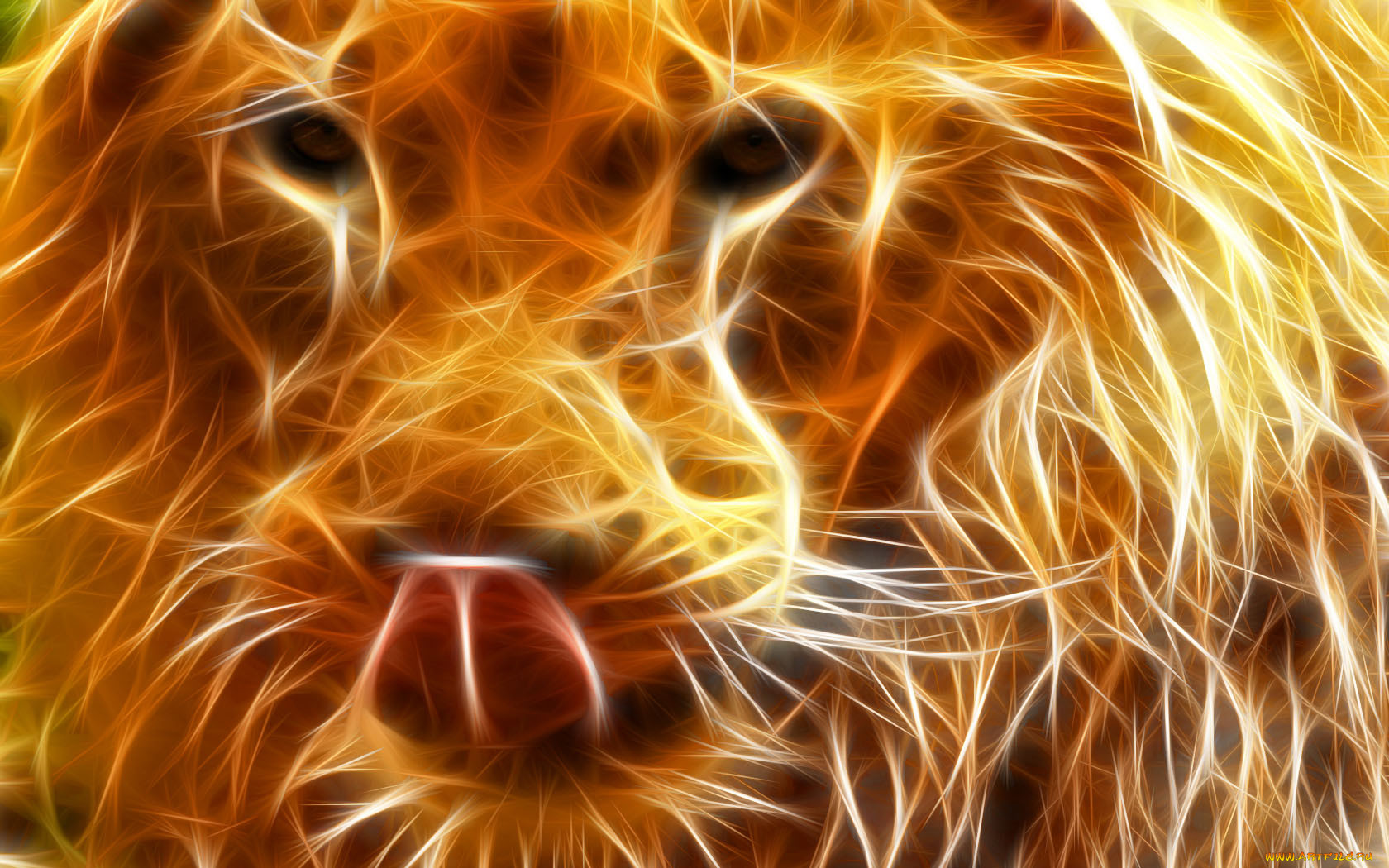 3, , animals, 